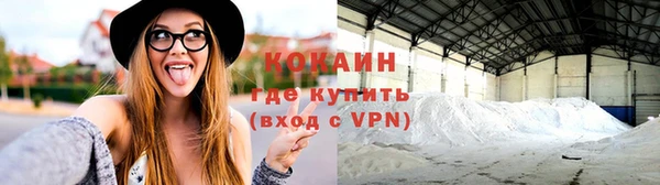 твердый Рославль