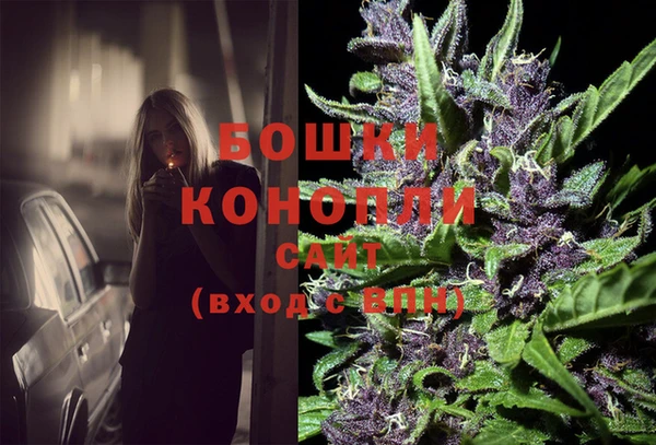 2c-b Вяземский