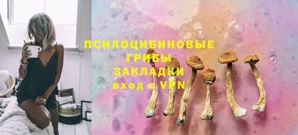 сатива Волоколамск