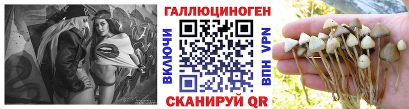 Псилоцибиновые грибы прущие грибы  Ефремов 