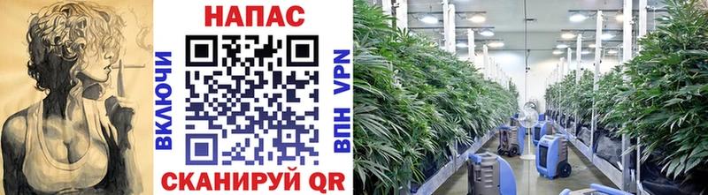 MEGA сайт  продажа наркотиков  Ефремов  Бошки марихуана OG Kush 